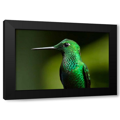 Steely Vented Black Modern Wood Framed Art Print by Malvin, Larry