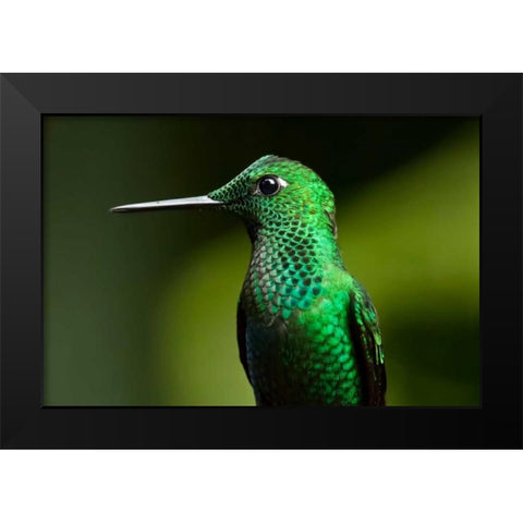 Steely Vented Black Modern Wood Framed Art Print by Malvin, Larry