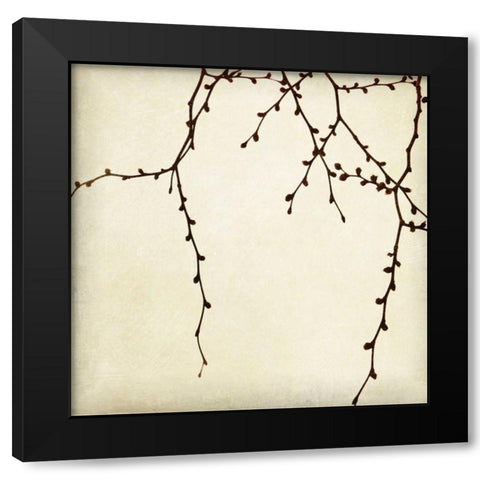 Branches II Black Modern Wood Framed Art Print with Double Matting by Melious, Amy