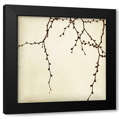 Branches II Black Modern Wood Framed Art Print by Melious, Amy