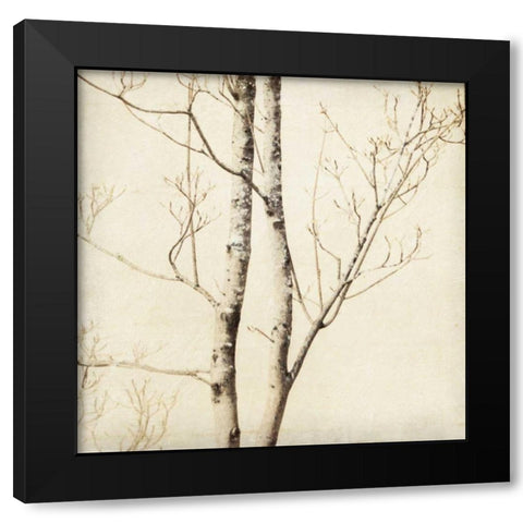 Winter Trees II Black Modern Wood Framed Art Print with Double Matting by Melious, Amy