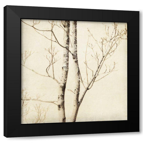Winter Trees II Black Modern Wood Framed Art Print by Melious, Amy