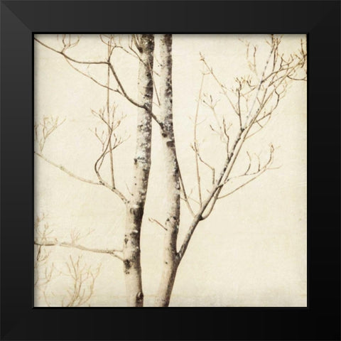 Winter Trees II Black Modern Wood Framed Art Print by Melious, Amy