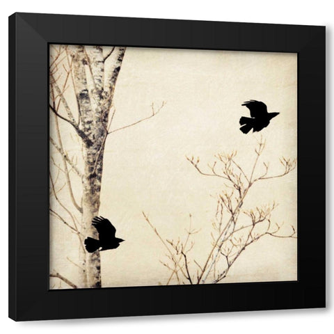 In Flight I Black Modern Wood Framed Art Print with Double Matting by Melious, Amy