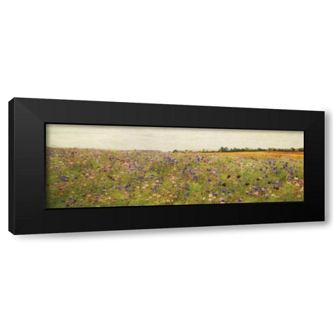 Wildflower Field I Black Modern Wood Framed Art Print with Double Matting by Melious, Amy