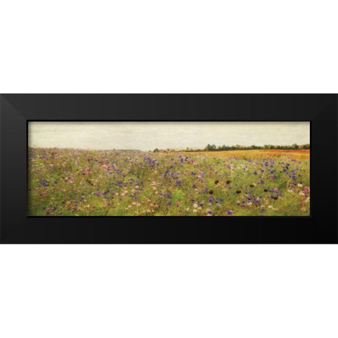 Wildflower Field I Black Modern Wood Framed Art Print by Melious, Amy