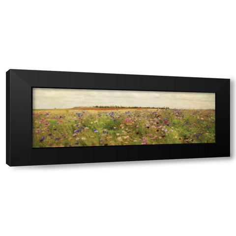 Wildflower Field II Black Modern Wood Framed Art Print with Double Matting by Melious, Amy