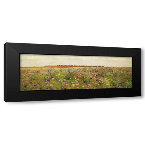 Wildflower Field II Black Modern Wood Framed Art Print by Melious, Amy