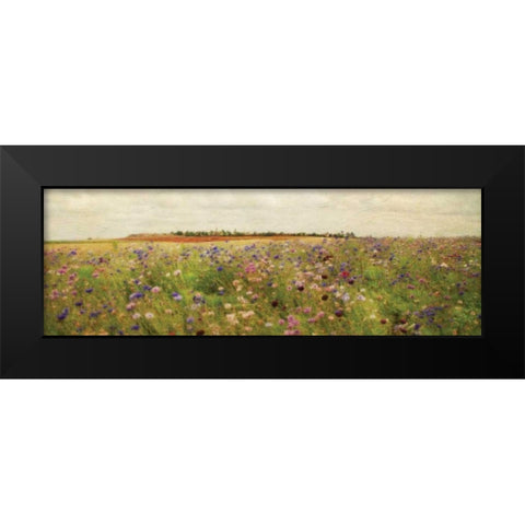 Wildflower Field II Black Modern Wood Framed Art Print by Melious, Amy