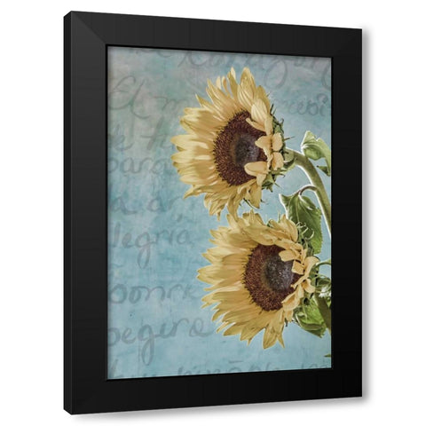 Sunflowers II Black Modern Wood Framed Art Print by Mahan, Kathy