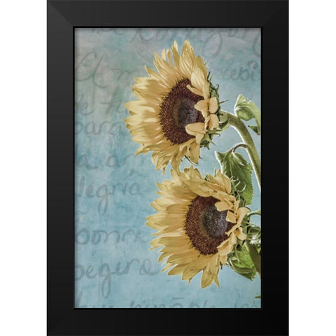 Sunflowers II Black Modern Wood Framed Art Print by Mahan, Kathy