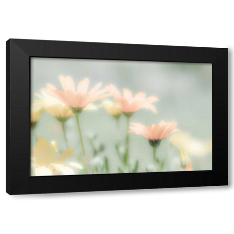 Desert Flowers II Black Modern Wood Framed Art Print by Mahan, Kathy