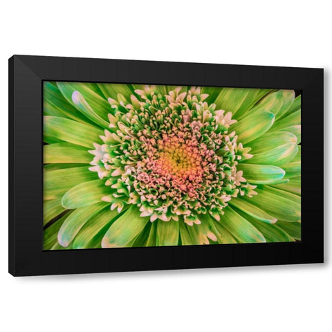 Green Flower Black Modern Wood Framed Art Print by Mahan, Kathy