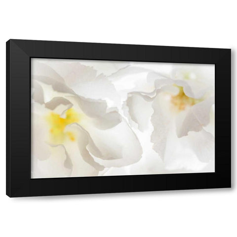 Cherry Blossoms II Black Modern Wood Framed Art Print by Mahan, Kathy