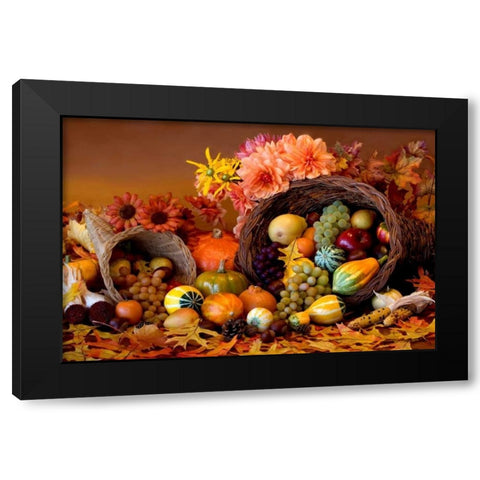 Cornucopia II Black Modern Wood Framed Art Print by Mahan, Kathy