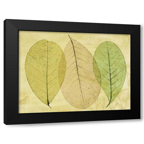 Leaf Collage II Black Modern Wood Framed Art Print with Double Matting by Mahan, Kathy