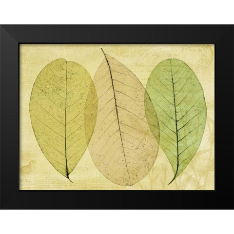 Leaf Collage II Black Modern Wood Framed Art Print by Mahan, Kathy