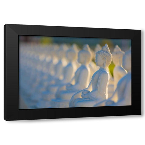 Garden of Buddahs II Black Modern Wood Framed Art Print with Double Matting by Mahan, Kathy