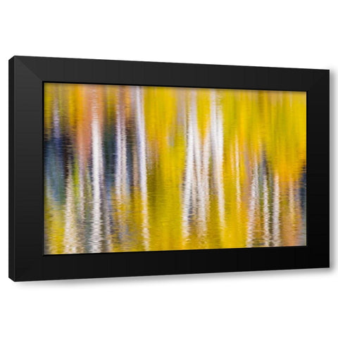 Reflections of Fall I Black Modern Wood Framed Art Print by Mahan, Kathy