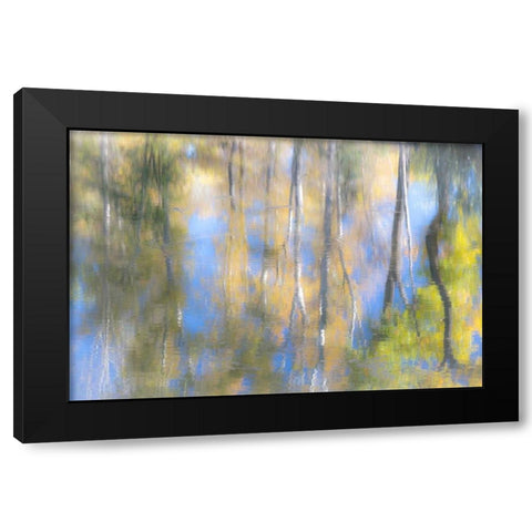 Tree Reflections I Black Modern Wood Framed Art Print by Mahan, Kathy