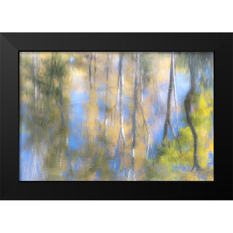 Tree Reflections I Black Modern Wood Framed Art Print by Mahan, Kathy