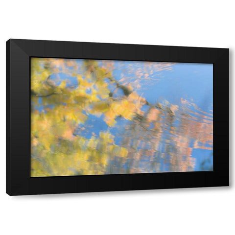 Tree Reflections II Black Modern Wood Framed Art Print by Mahan, Kathy