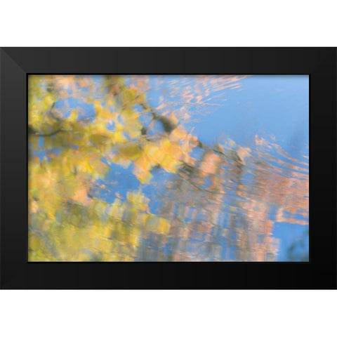 Tree Reflections II Black Modern Wood Framed Art Print by Mahan, Kathy