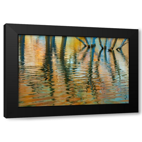 Lake Powell Reflections I Black Modern Wood Framed Art Print by Mahan, Kathy