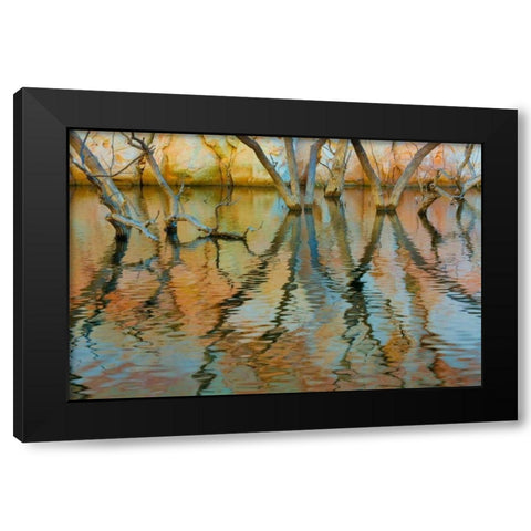 Lake Powell Reflections II Black Modern Wood Framed Art Print by Mahan, Kathy