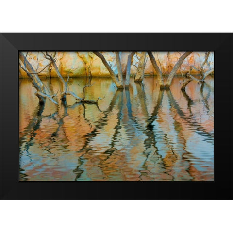Lake Powell Reflections II Black Modern Wood Framed Art Print by Mahan, Kathy