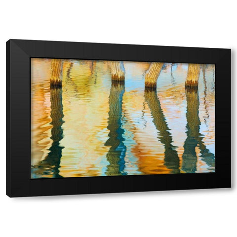 Lake Powell Reflections III Black Modern Wood Framed Art Print by Mahan, Kathy