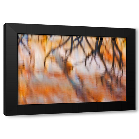 Lake Powell Reflections IV Black Modern Wood Framed Art Print with Double Matting by Mahan, Kathy