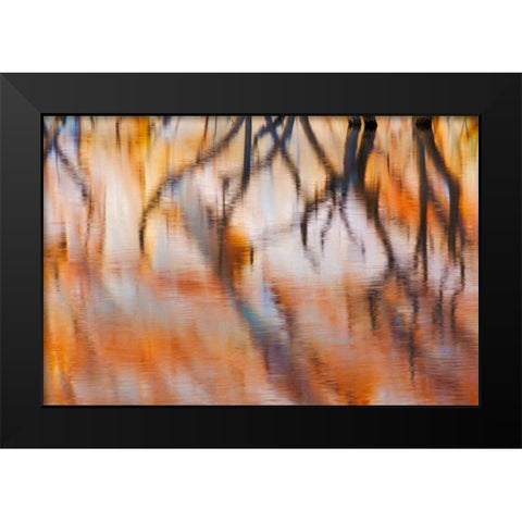 Lake Powell Reflections IV Black Modern Wood Framed Art Print by Mahan, Kathy