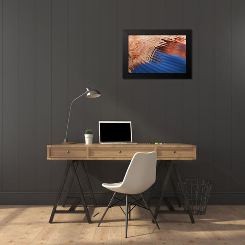 Boat Wake II Black Modern Wood Framed Art Print by Mahan, Kathy