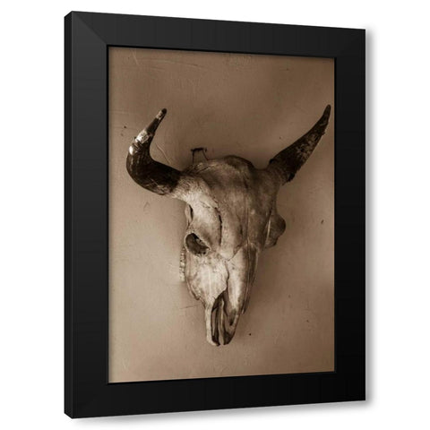 Steer Skull Black Modern Wood Framed Art Print with Double Matting by Mahan, Kathy