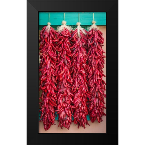 Ristras II Black Modern Wood Framed Art Print by Mahan, Kathy