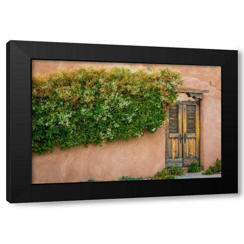 Gate II Black Modern Wood Framed Art Print by Mahan, Kathy