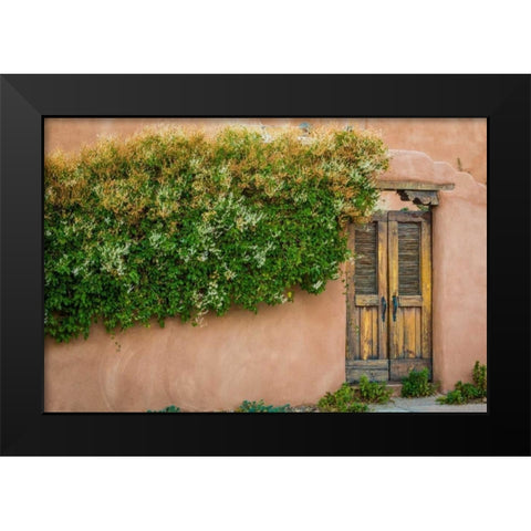 Gate II Black Modern Wood Framed Art Print by Mahan, Kathy