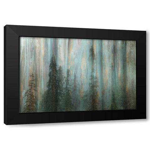Forest II Black Modern Wood Framed Art Print with Double Matting by Mahan, Kathy