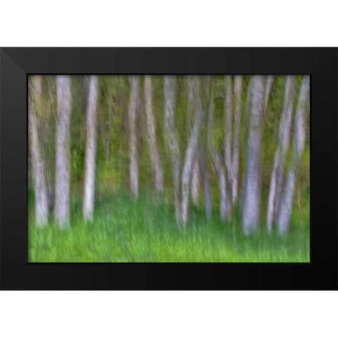 Alder Forest II Black Modern Wood Framed Art Print by Mahan, Kathy