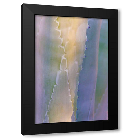 Agave III Black Modern Wood Framed Art Print by Mahan, Kathy