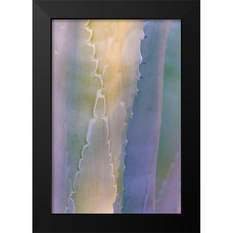 Agave III Black Modern Wood Framed Art Print by Mahan, Kathy