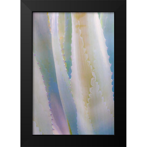 Agave IV Black Modern Wood Framed Art Print by Mahan, Kathy
