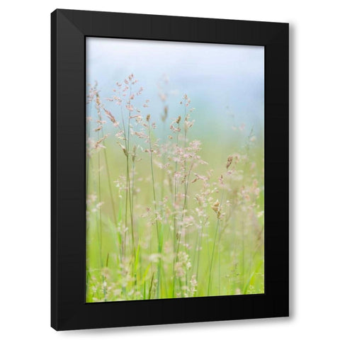Guillemot Cove Grasses I Black Modern Wood Framed Art Print by Mahan, Kathy
