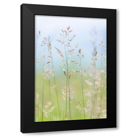 Guillemot Cove Grasses II Black Modern Wood Framed Art Print by Mahan, Kathy
