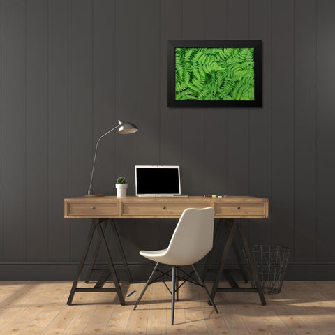 Oak Fern Black Modern Wood Framed Art Print by Mahan, Kathy