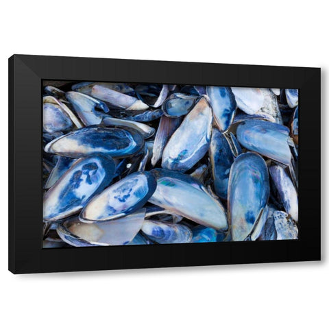 Mussels I Black Modern Wood Framed Art Print by Mahan, Kathy