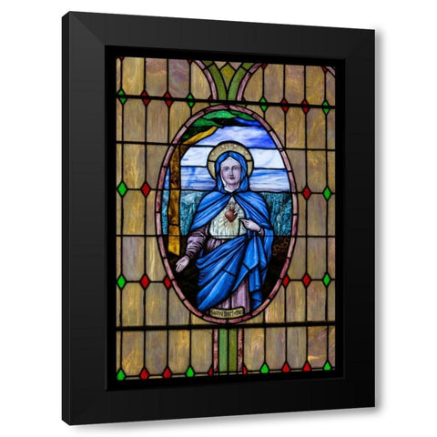 Stained Glass VIII Black Modern Wood Framed Art Print with Double Matting by Mahan, Kathy