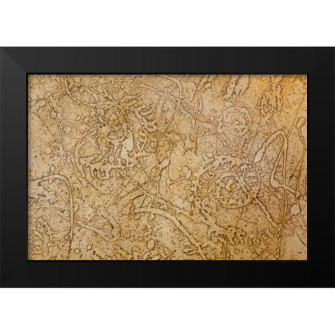 San Miguel Fossils II Black Modern Wood Framed Art Print by Mahan, Kathy