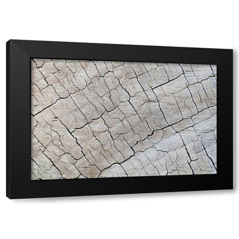 Weathered Wood I Black Modern Wood Framed Art Print by Mahan, Kathy